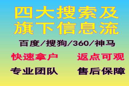 SEM搜索引擎优化策略解析与应用案例